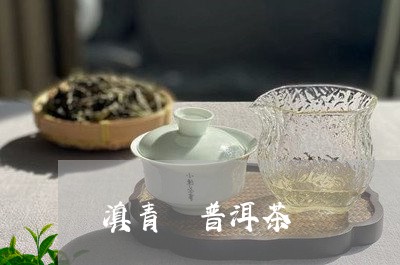 滇青 普洱茶/2023042831763